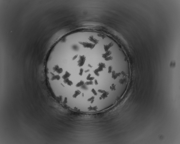 X0000100841362200807180911