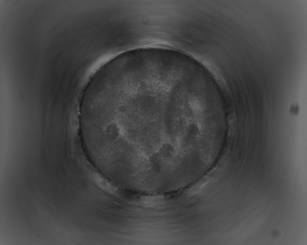 X0000100841363200807180911