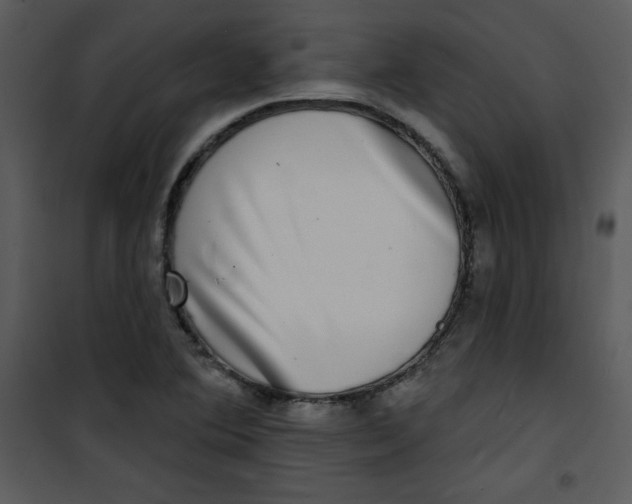 X0000100841364200807180911