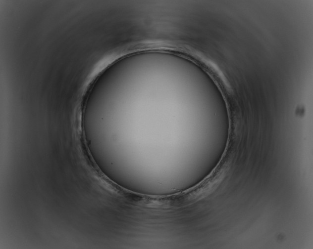 X0000100841365200807180911