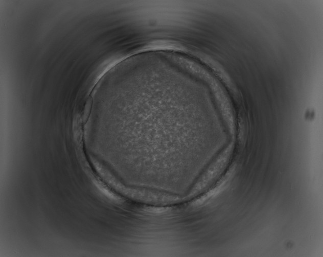 X0000100841369200807180910