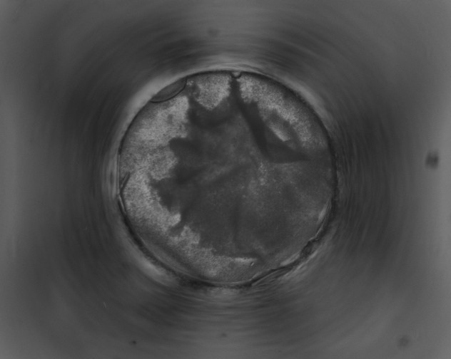 X0000100841371200807180910