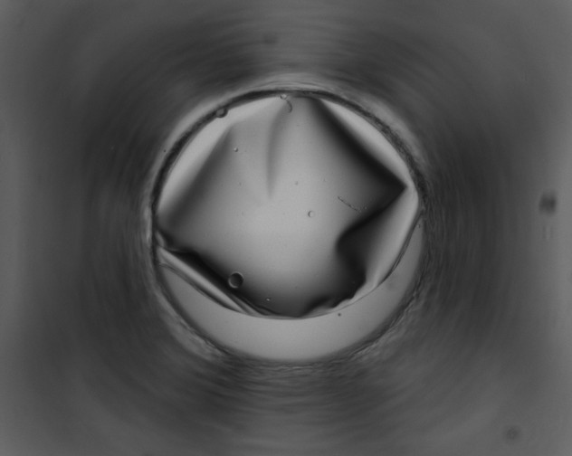 X0000100841372200807180910