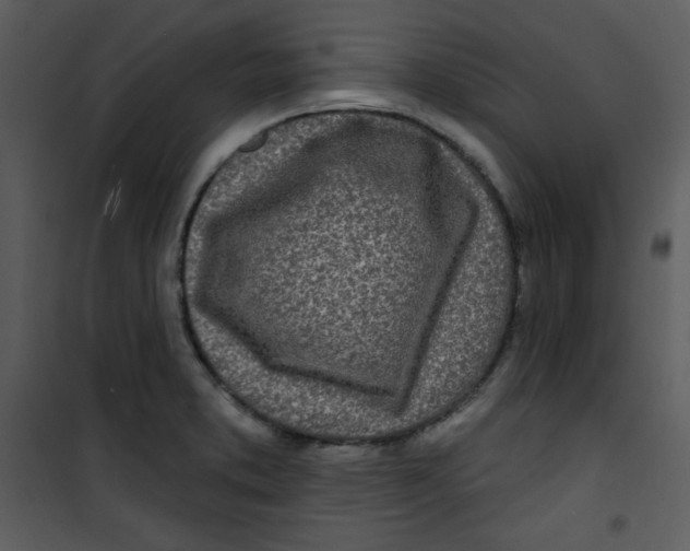 X0000100841373200807180910