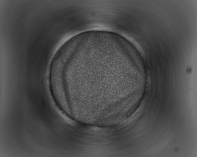 X0000100841375200807180910