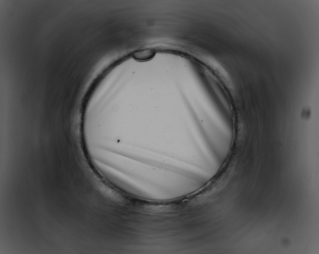 X0000100841376200807180910