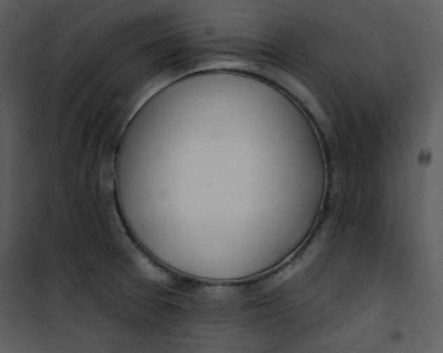 X0000100841377200807180910