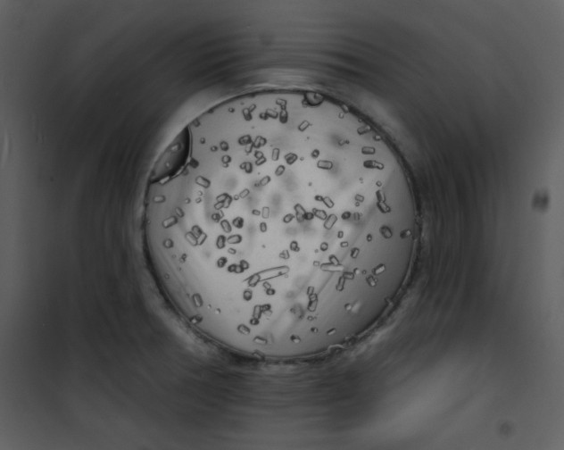 X0000100841378200807180910
