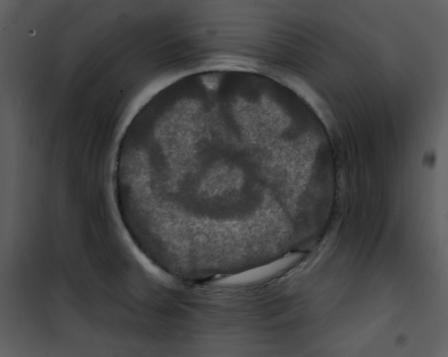 X0000100841379200807180910