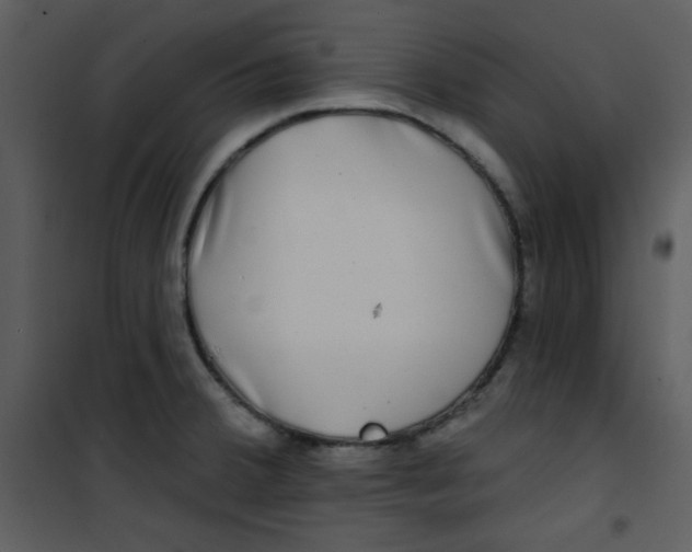 X0000100841380200807180910