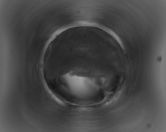 X0000100841381200807180910