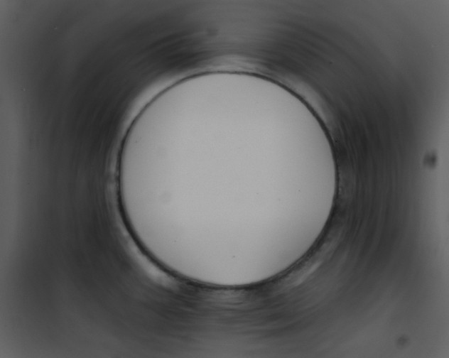 X0000100841387200807180910