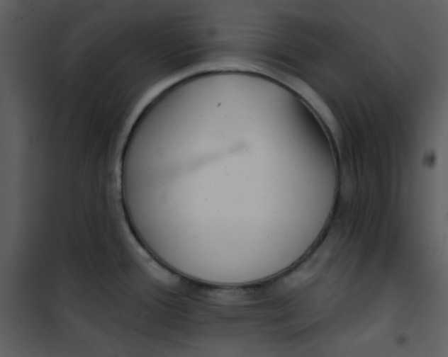 X0000100841388200807180910