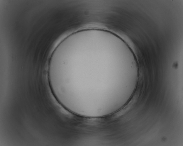 X0000100841390200807180910