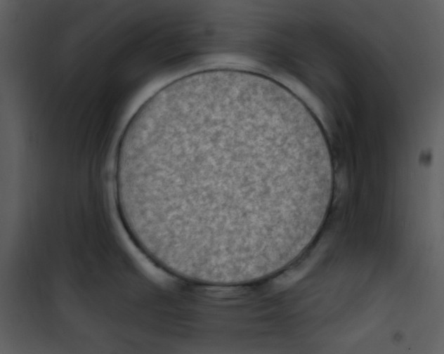 X0000100841391200807180910