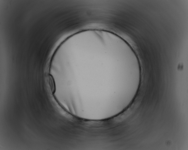 X0000100841392200807180910