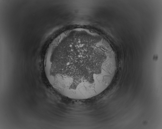 X0000100841398200807180909