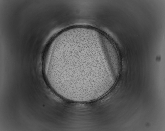 X0000100841408200807180910