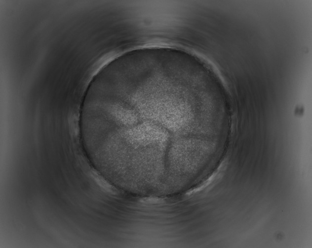 X0000100841409200807180910