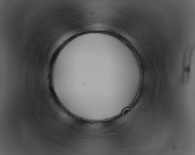 X0000100841410200807180910