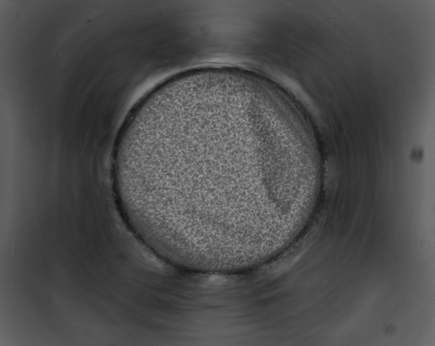 X0000100841412200807180910