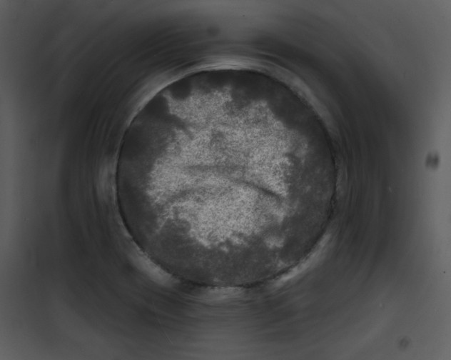 X0000100841417200807180910