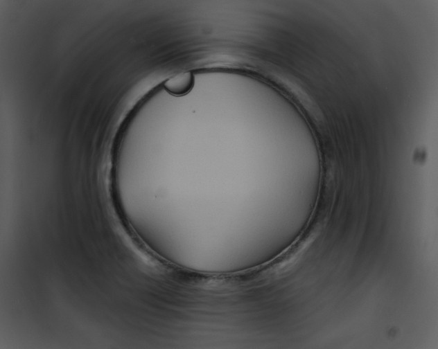 X0000100841418200807180910