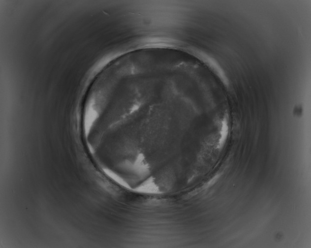 X0000100841419200807180910