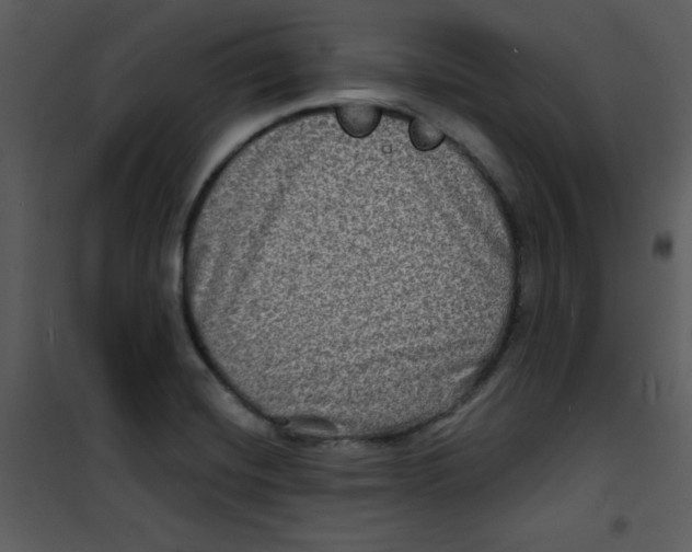 X0000100841420200807180910