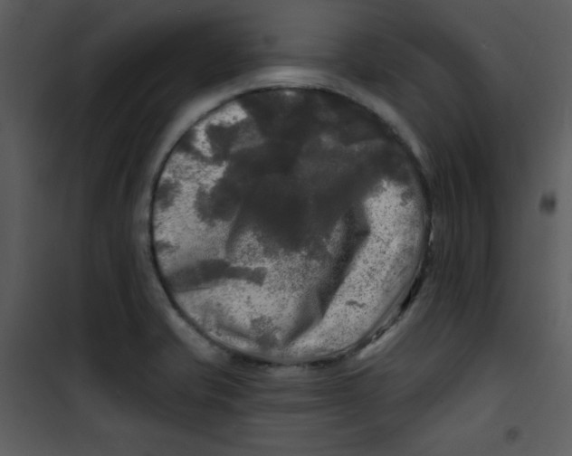 X0000100841421200807180910