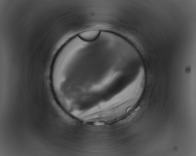 X0000100841422200807180910