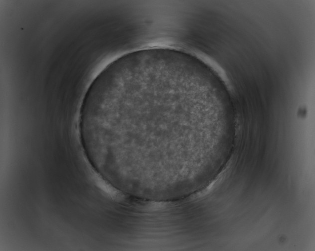 X0000100841423200807180910