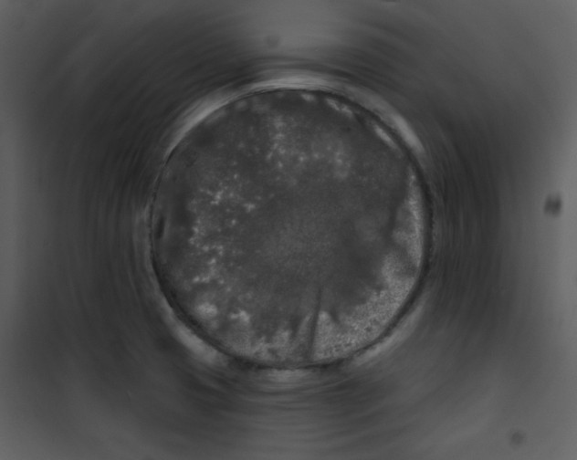 X0000100841425200807180910