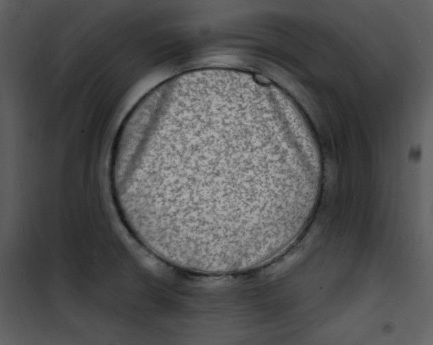 X0000100841426200807180910