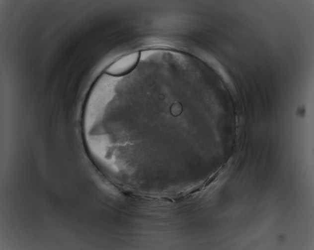 X0000100841427200807180910