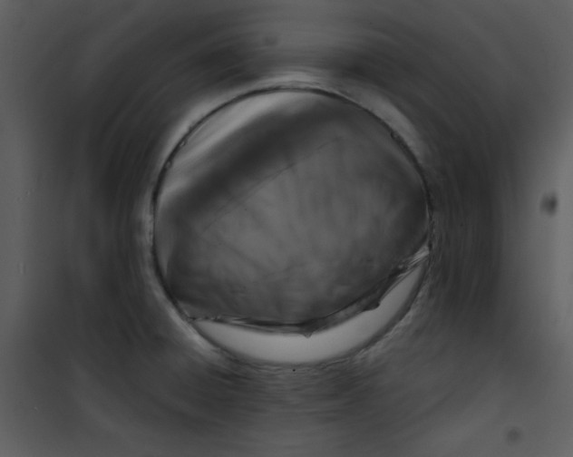 X0000100841428200807180910