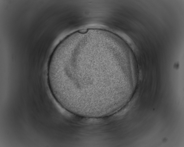 X0000100841430200807180910