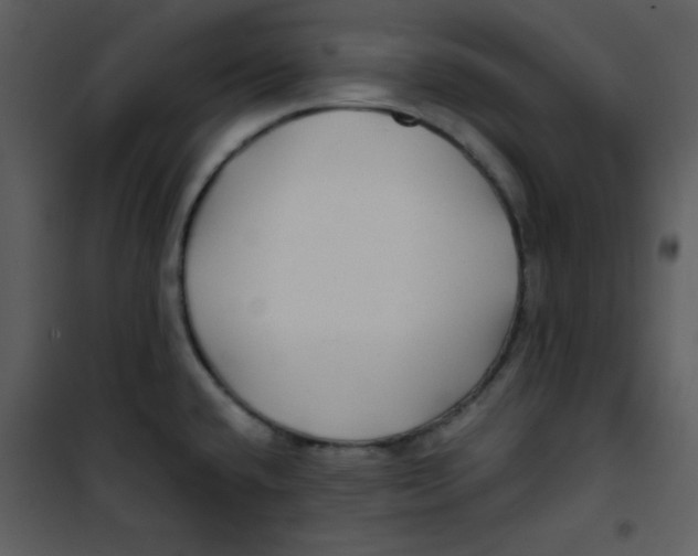 X0000100841432200807180910