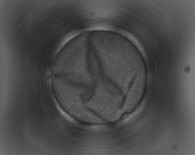 X0000100841433200807180910