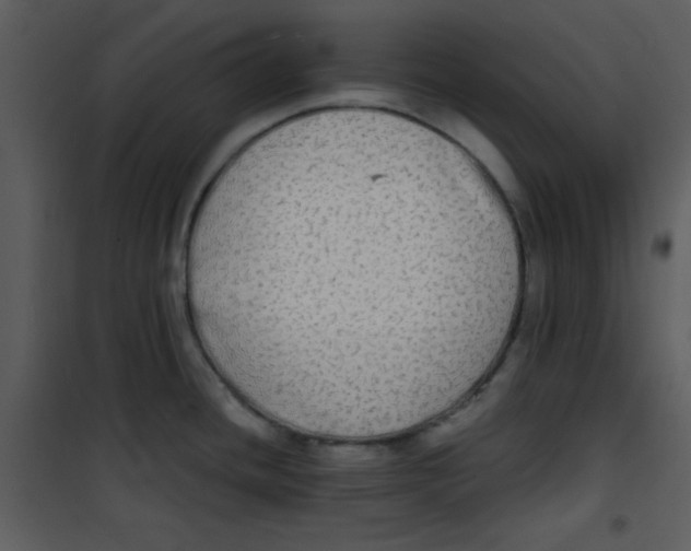 X0000100841436200807180910