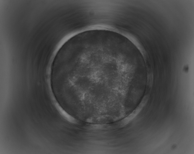 X0000100841438200807180910