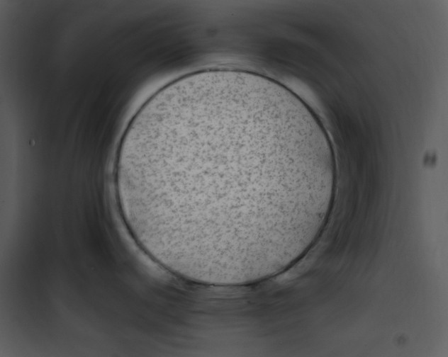 X0000100841440200807180910