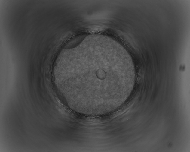 X0000100841441200807180909