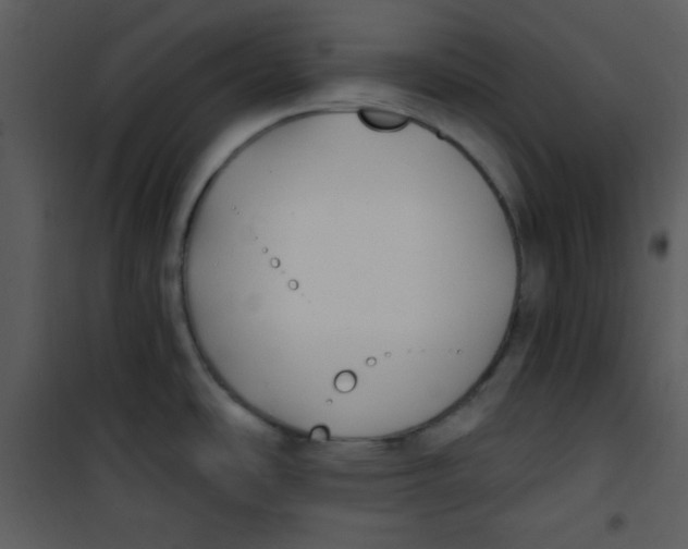 X0000100841486200807180908