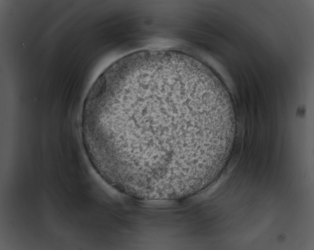 X0000100841487200807180908