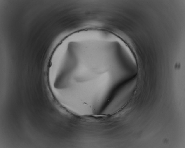 X0000100841488200807180908