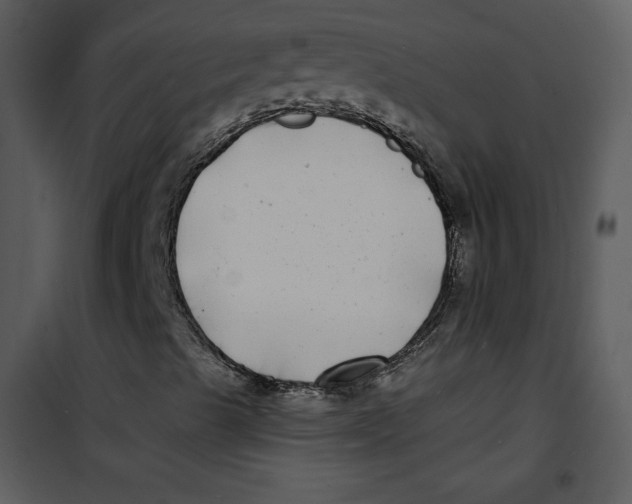 X0000100841489200807180908