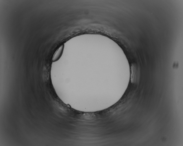 X0000100841491200807180908