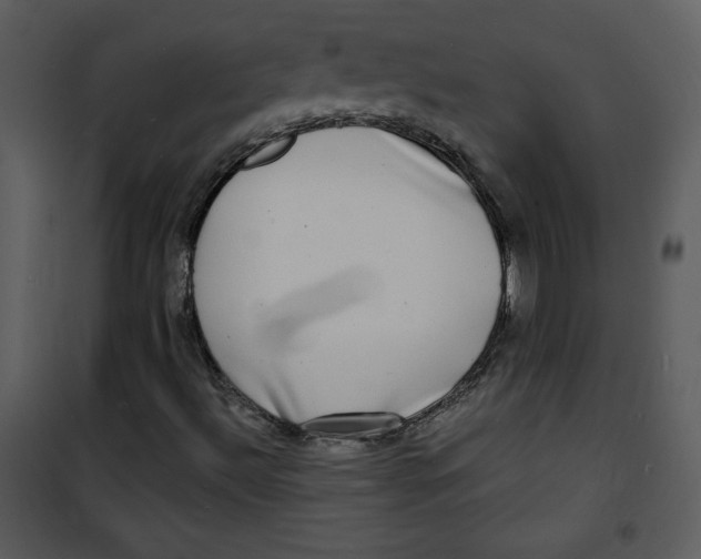 X0000100841492200807180908