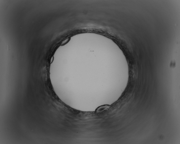 X0000100841493200807180908